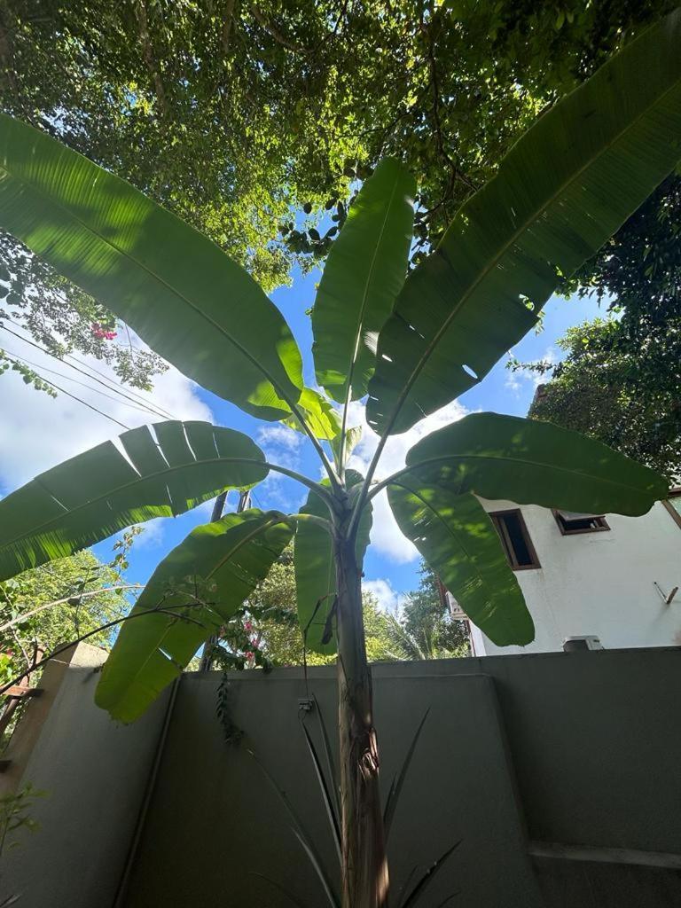 Espaco Ekos Pipa Praia de Pipa Bagian luar foto